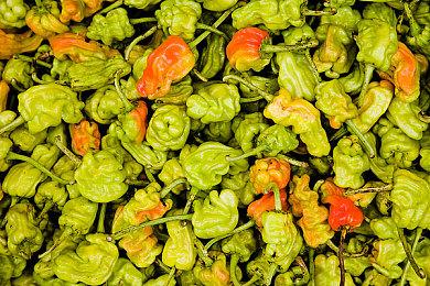 不买配件玩不了！ 《Switch2欢迎之旅》需购买配件才能100%完成游戏